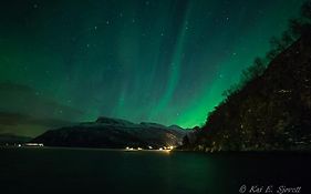 Elvegard Fjordcamp